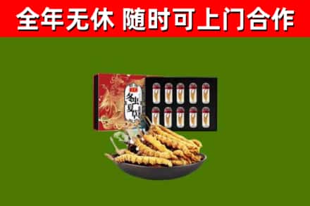 南京回收冬虫夏草价格